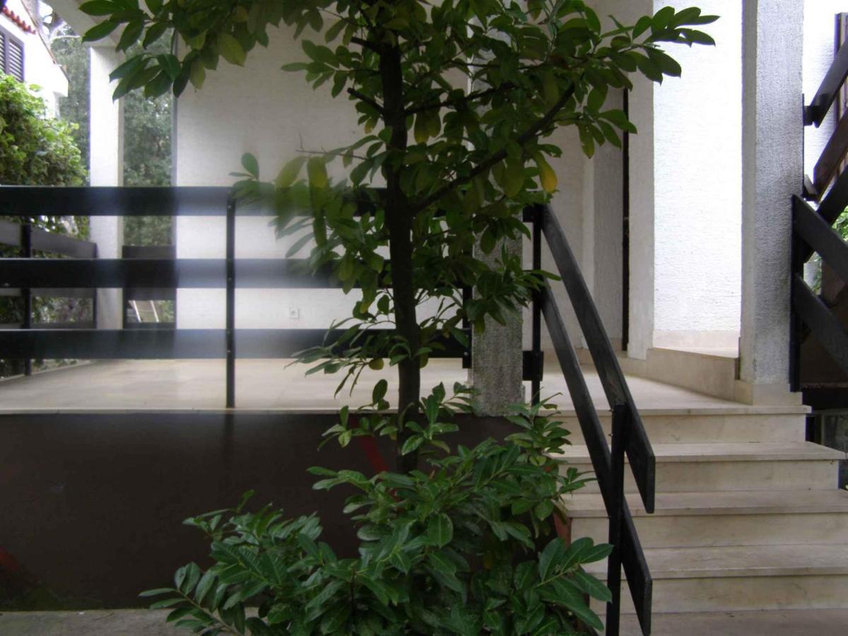 Apartment in Petrcane/Zadar Riviera 7866 Exterior foto